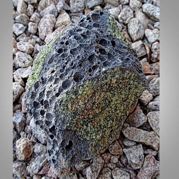 PERIDOT in basalt crystal rock stone gemstone AUGUST birthstone 05 - Picture 4 of 7